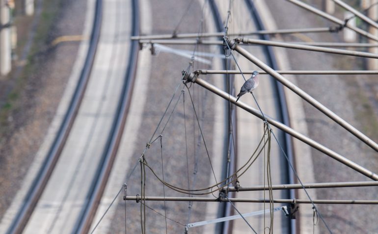 Durch einen Oberleitungsschaden kommt es im Bahnverkehr zwischen Hamburg und Lüneburg zu Beeinträchtigungen. (Symbolbild)