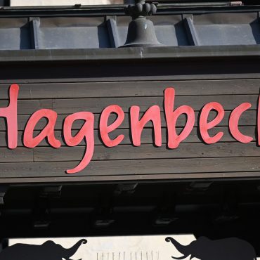 Zwölf Dinosaurier-Skulpturen im Tierpark Hagenbeck müssen restauriert werden.