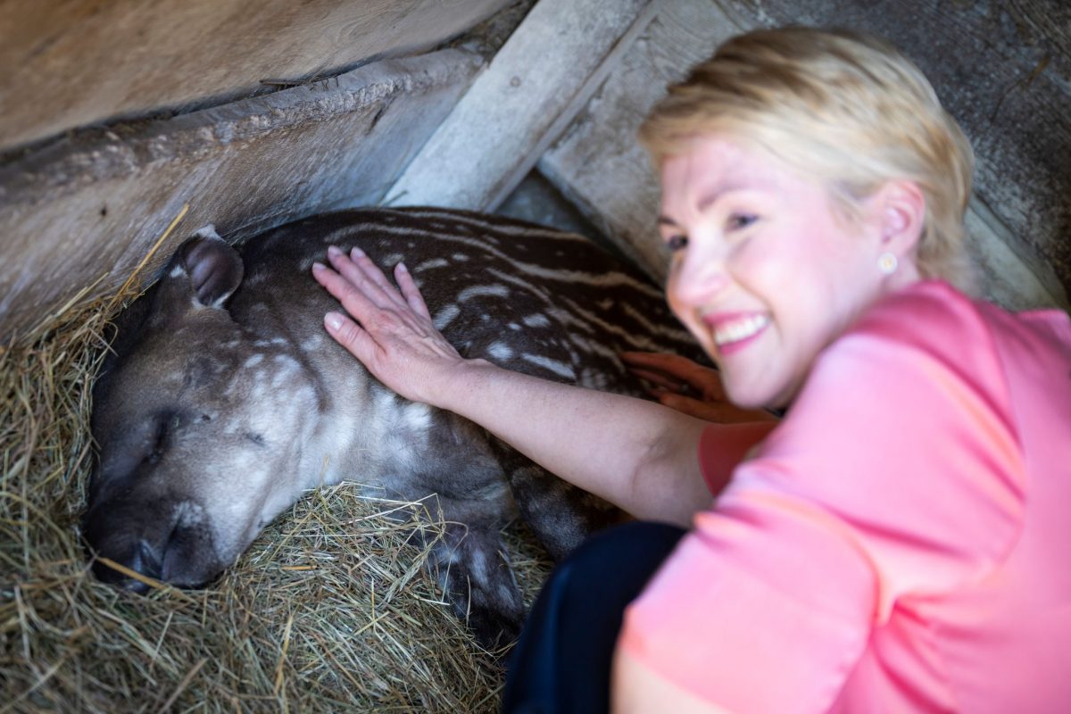 Der Schweriner Zoo habe sich in den vergangenen 70 Jahren immer wieder verändert und weiterentwickelt, sagte Mecklenburg-Vorpommerns Ministerpräsidentin Manuela Schwesig (SPD).