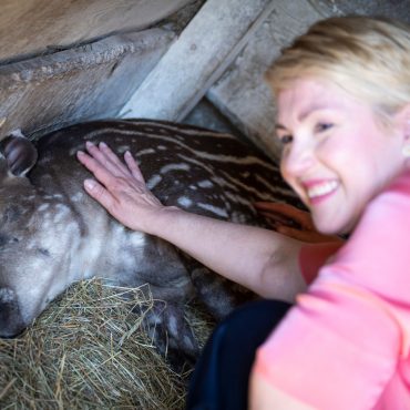 Der Schweriner Zoo habe sich in den vergangenen 70 Jahren immer wieder verändert und weiterentwickelt, sagte Mecklenburg-Vorpommerns Ministerpräsidentin Manuela Schwesig (SPD).