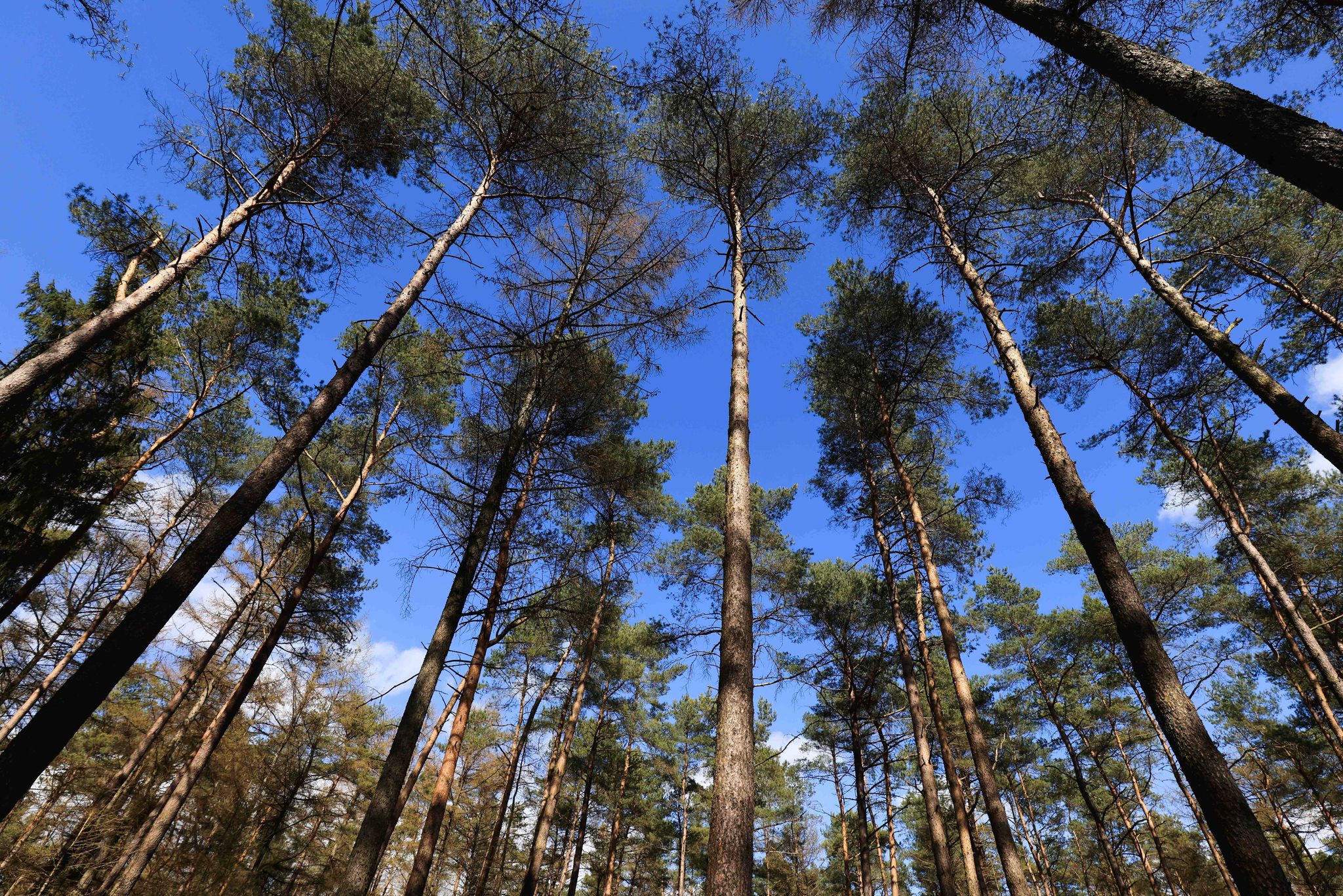 Hintergrund