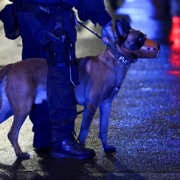 Eine Polizistin steht wegen gefährlicher Körperverletzung im Amt vor Gericht. (Symbolbild)