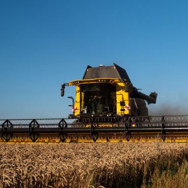 Die Ernte läuft auch in Schleswig-Holstein noch. (Symbolbild)