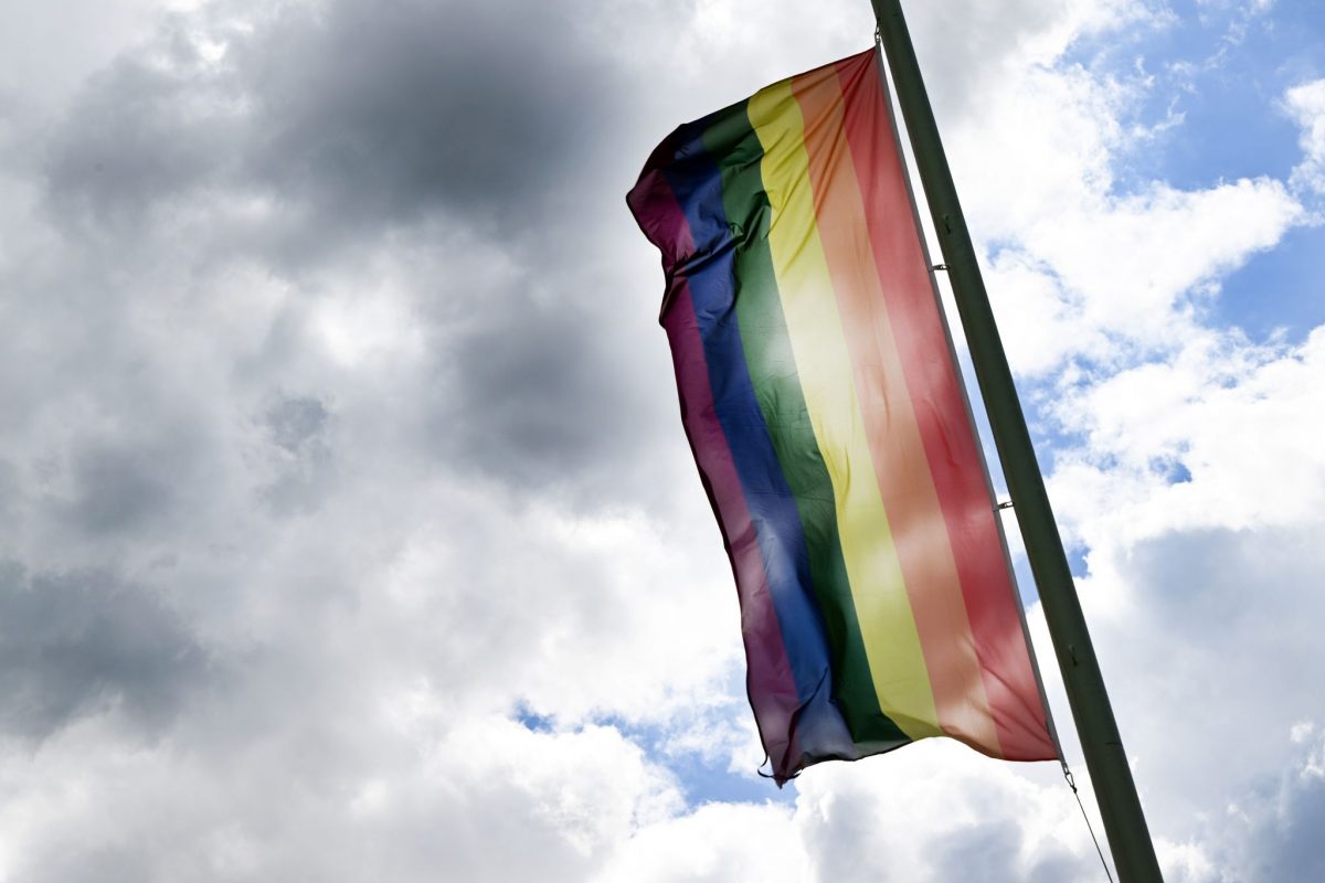 Ein Autofahrer hatte am Samstagabend im Berliner Tiergarten am Rande des CSD Menschen angefahren. (Symbolfoto)
