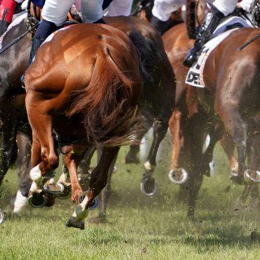 Das 157. deutsche Galopp-Derby endete mit einer Sensation. (Archivbild)
