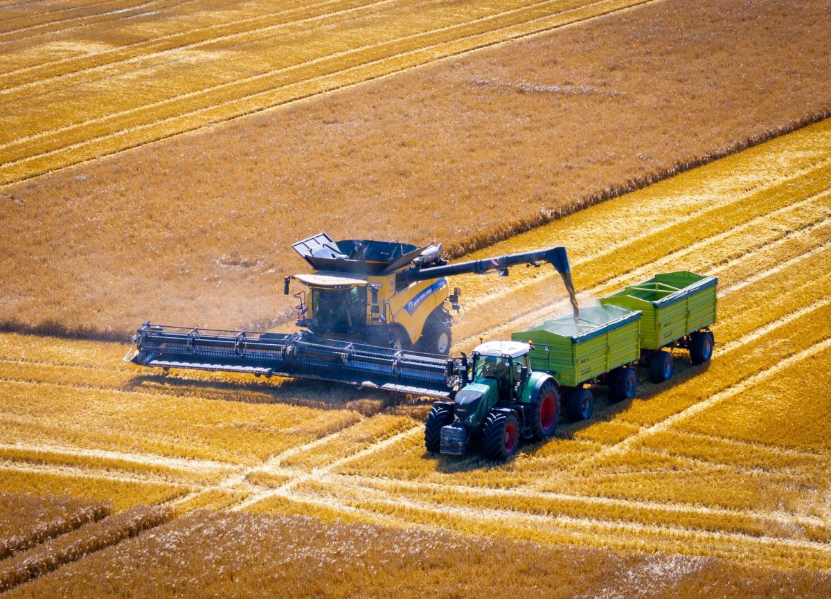 Der Juli ist der Monat der ersten Getreideernte in Schleswig-Holstein. Auch in Mecklenburg-Vorpommern hat die Ernte bereits begonnen.
