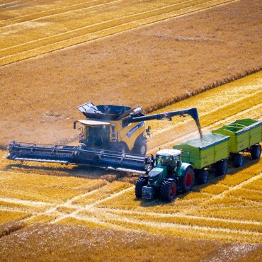 Der Juli ist der Monat der ersten Getreideernte in Schleswig-Holstein. Auch in Mecklenburg-Vorpommern hat die Ernte bereits begonnen.