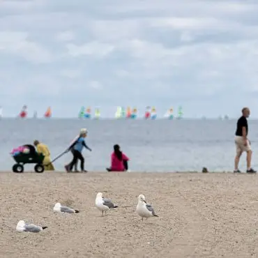 In Hamburg und Schleswig-Holstein bleibt es vorerst mild und regnerisch. (Symbolbild)