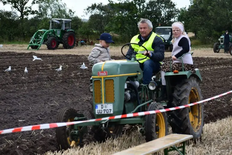 Historische Trecker beim gut besuchten Feldtag auf Föhr