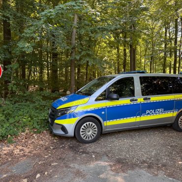 Nach dem Fund eines menschlichen Torsos sucht die Polizei rund um den Fundort in einem Waldstück nach Spuren.