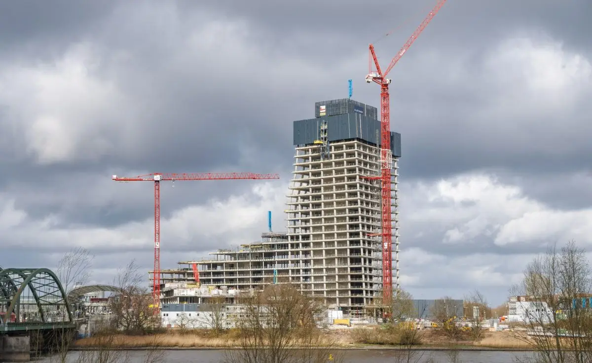 SPD-Fraktionschef Dirk Kienscherf sieht nur geringe Chancen für einen Einzug des Naturkundemuseums in den Elbtower. (Archivbild)