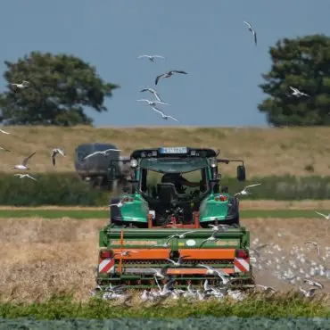Die Ernte in Schleswig-Holstein ist je nach Standort in diesem Jahr sehr unterschiedlich ausgefallen - insgesamt jedoch schlechter als 2025. (Symbolfoto)