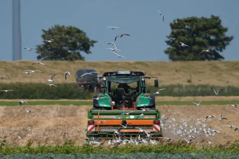 Die Ernte in Schleswig-Holstein ist je nach Standort in diesem Jahr sehr unterschiedlich ausgefallen - insgesamt jedoch schlechter als 2025. (Symbolfoto)