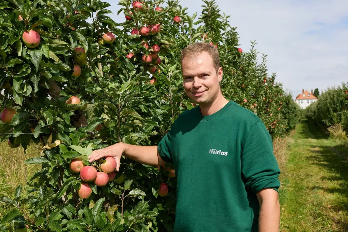 Obstbauer Niklas Eckhoff steht in seiner Apfelplantage vor einem Baum der Sorte Gala.