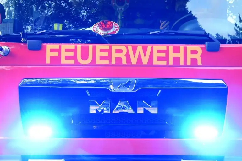 Bei dem Brand starben sechs Kälber (Symbolbild).