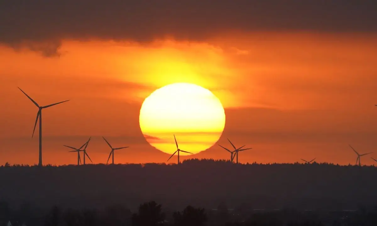 Die Stadt Hamburg will künftig Geld leihen, das sie nur für ökologisch nachhaltige Projekte nutzen darf - sogenannte Green Bonds. (Illustration)