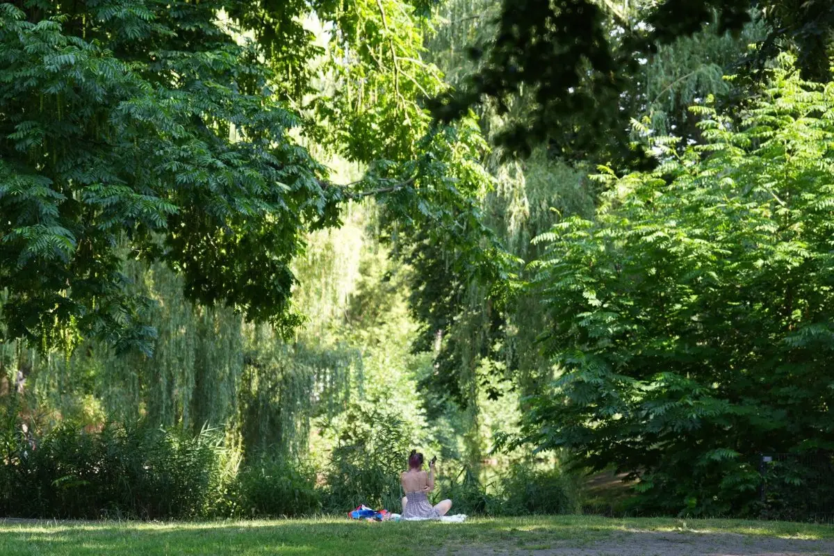 Der Deutsche Wetterdienst (DWD) rechnet heute mit bis zu 30 Grad in Hamburg. (Archivbild)