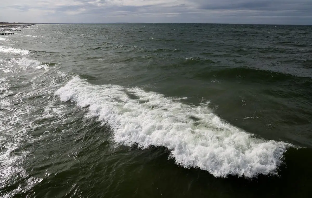 In der Ostsee vor dem polnischen Seebad Miedzyzdroje wurde ein Wal gesichtet. (Archivbild)