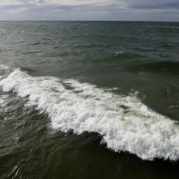 In der Ostsee vor dem polnischen Seebad Miedzyzdroje wurde ein Wal gesichtet. (Archivbild)