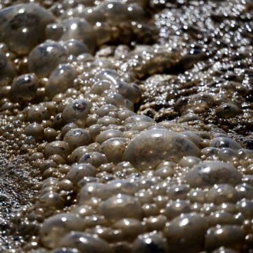 Abwasser in einer Kläranlage - wie können Kläranlagen klimaneutral werden? (Symbolbild)
