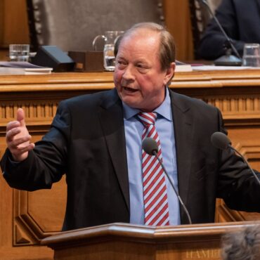 AfD-Fraktionschef Dirk Nockemann nennt SPD und CDU in der Hamburgischen Bürgerschaft eine «politische Resterampe». (Archivbild)