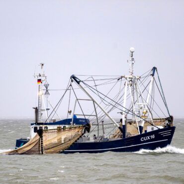 Die gestiegenen Kraftstoffpreise setzen viele Fischer an Nord- und Ostsee unter Druck. (Archivbild)