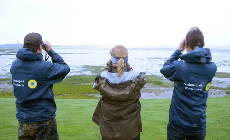 Das Einsatzrevier der Nationalpark-Ranger im Wattenmeer soll nach Plänen der Landesregierungen ausgeweitet werden. (Archivbild)
