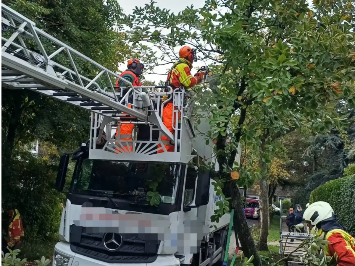 Feuerwehreinsatz nach Kollision eines Lkw mit einem Baum in der Mühlenstraße in Wyk auf Föhr
