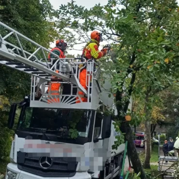 Feuerwehreinsatz nach Kollision eines Lkw mit einem Baum in der Mühlenstraße in Wyk auf Föhr