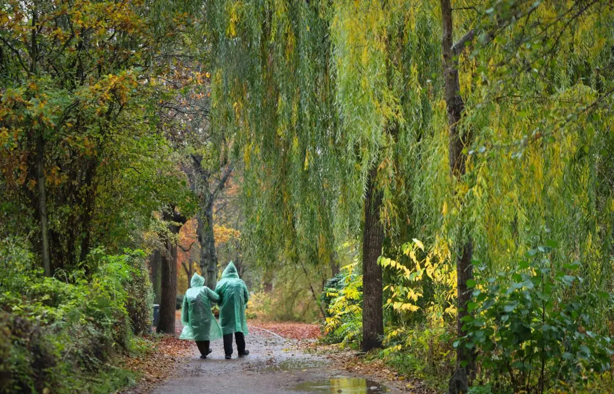 Regen und Wind: allmählich dreht der Herbst in Hamburg und Schleswig-Holstein auf. (Archivbild)