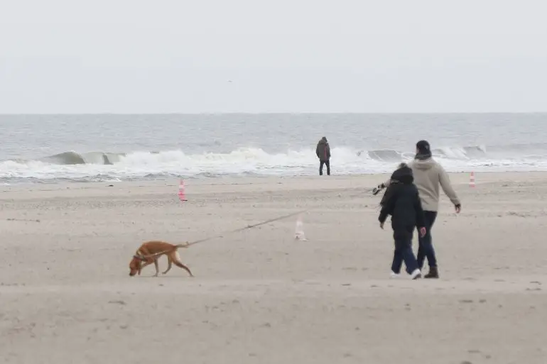 Der Oktober brachte Schleswig-Holstein nach Angaben des Deutschen Wetterdienstes überdurchschnittlich viel Regen. (Archivbild)