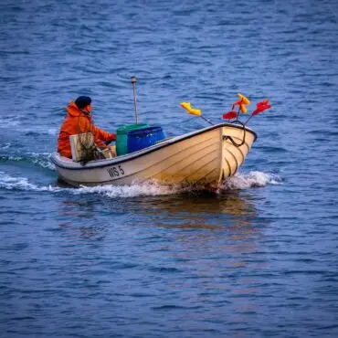 Es steht nicht gut um die Fischerei an der deutschen Ostseeküste. (Archivbild)