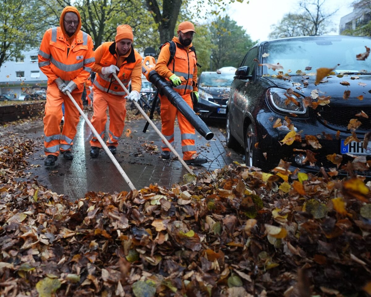 Rund 590 Männer und Frauen sind im Herbst 2026 auf Hamburgs Straßen unterwegs, um das Herbstlaub einzusammeln. (Archivbild)