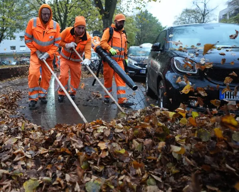 Rund 590 Männer und Frauen sind im Herbst 2026 auf Hamburgs Straßen unterwegs, um das Herbstlaub einzusammeln. (Archivbild)
