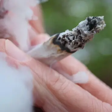 2025 war das erste komplette Jahr seit der Teillegalisierung von Cannabis. (Symbolbild)