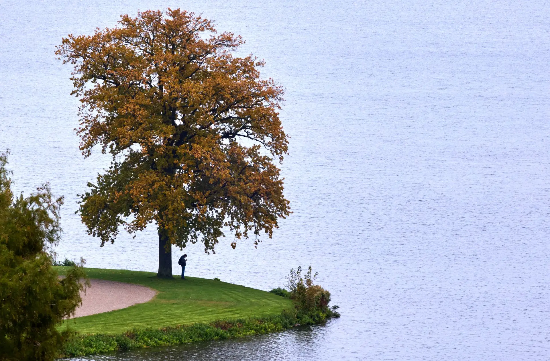 Hintergrund